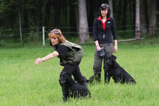 Training mit Ruth Hochstätter